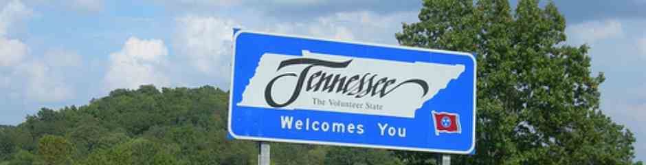 Tennessee Public Facts